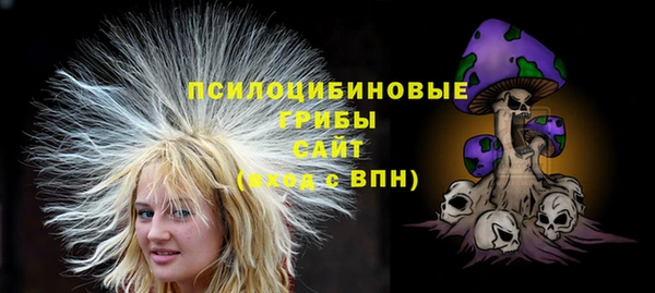 Альфа ПВП Алзамай