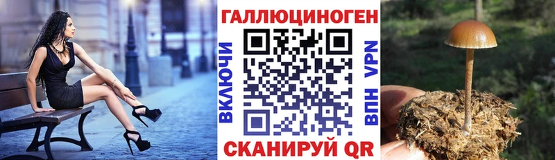 что такое   Анива  Галлюциногенные грибы мицелий 